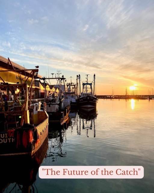 The Future Of The Catch
