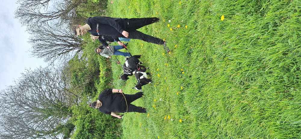 Point Field Smallholding C.I.C