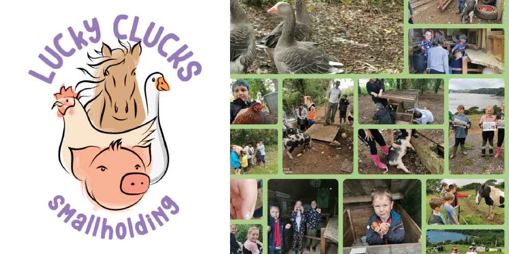 Lucky Clucks Smallholding C.I.C