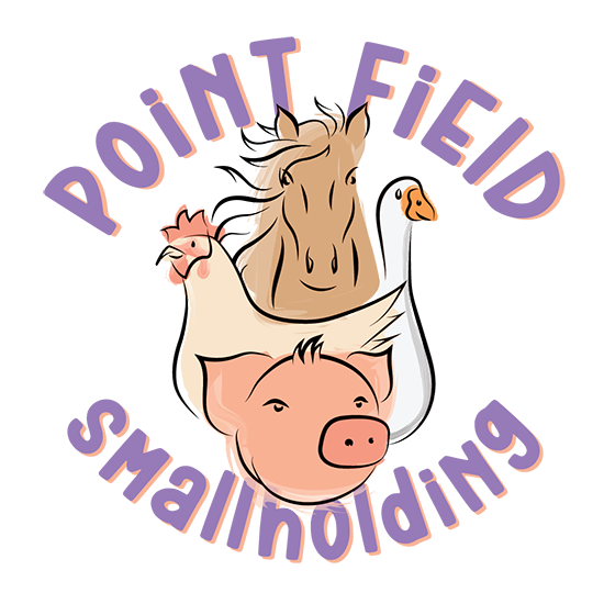 Point Field Smallholding C.I.C