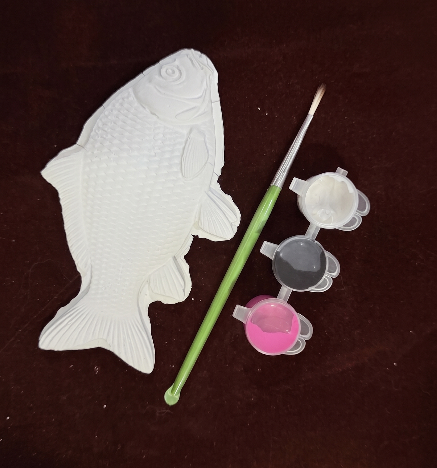 Undersea Fish Plaster Painting Kit_1