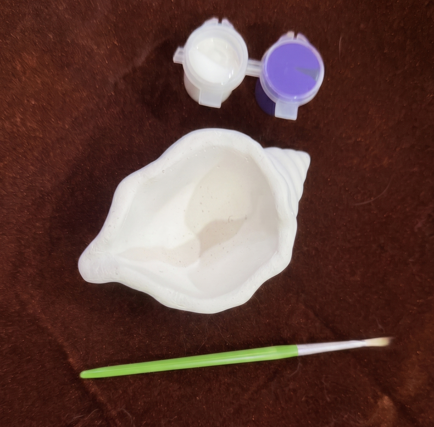 Seashell Plaster Dish Painting Kit_1
