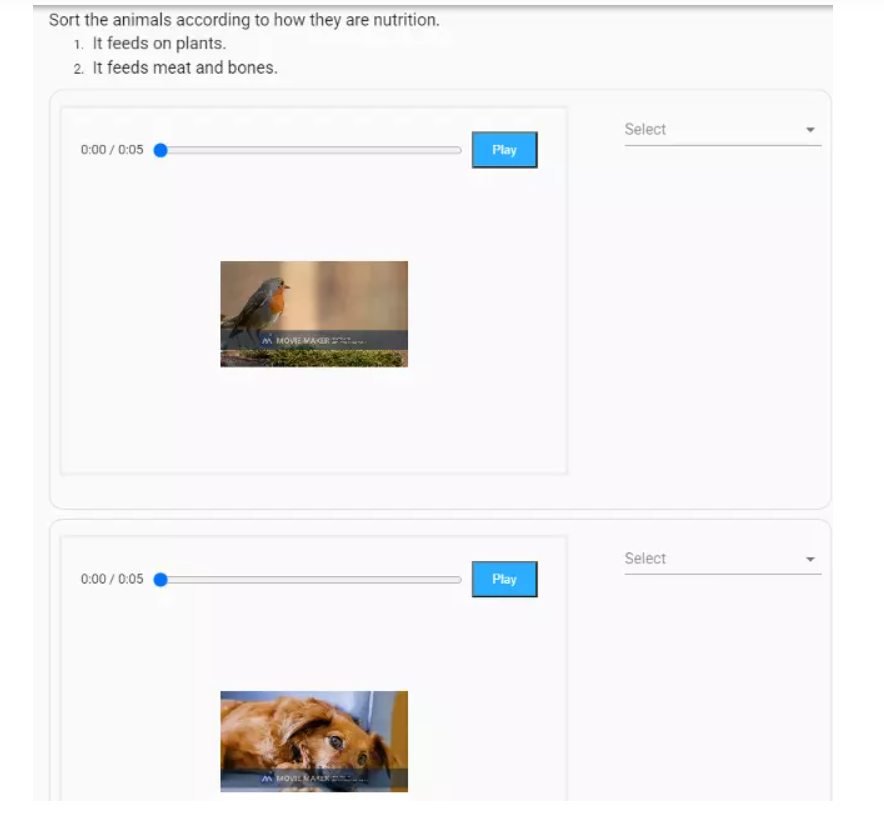 A matching question example created by adding videos to question items.