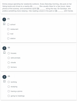 Sample multi-blank vocabulary question in matching format