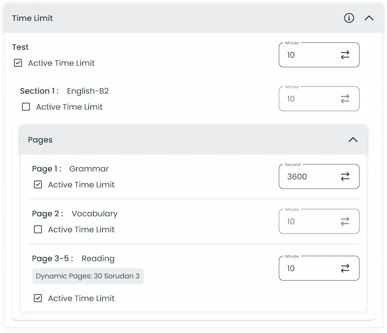 Time limit options applied at test, section, and page levels