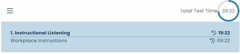 Test screen displaying overall time limit with separate timers for sections and pages