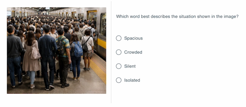 Sample multiple-choice vocabulary question with image