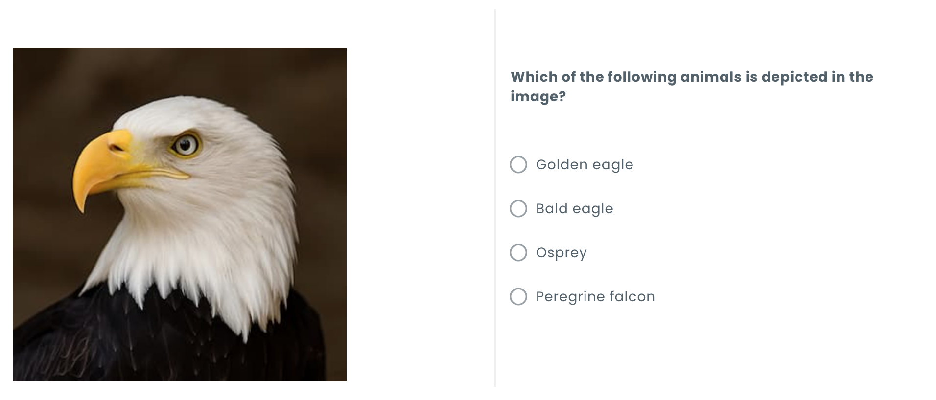 Creating questions with a sidebar layout