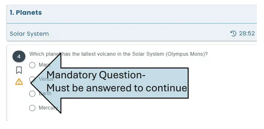 Mandatory questions are marked with a warning icon and must be answered. Candidates cannot skip the page until all required questions are completed.