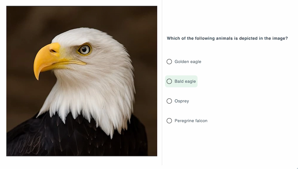 Sample image-based question