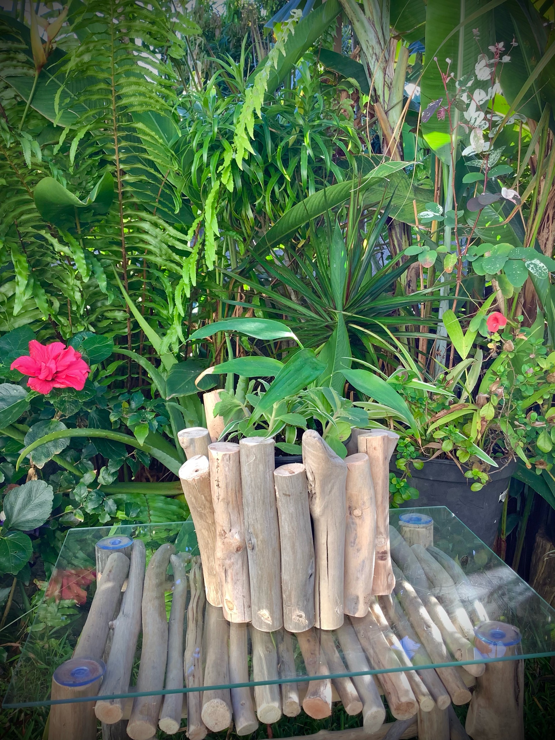 cache pot en bois flotté — visuel 7