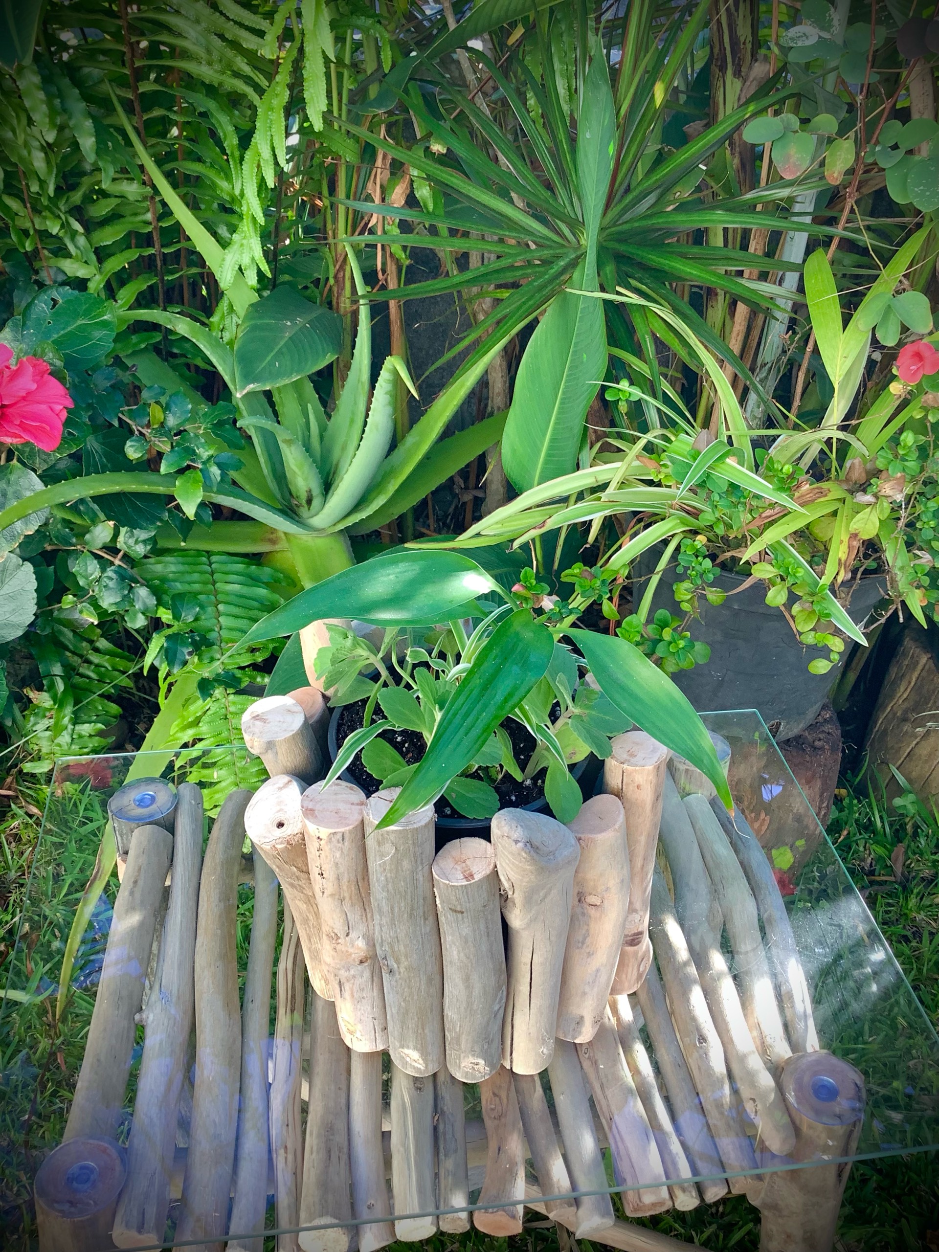cache pot en bois flotté — visuel 5