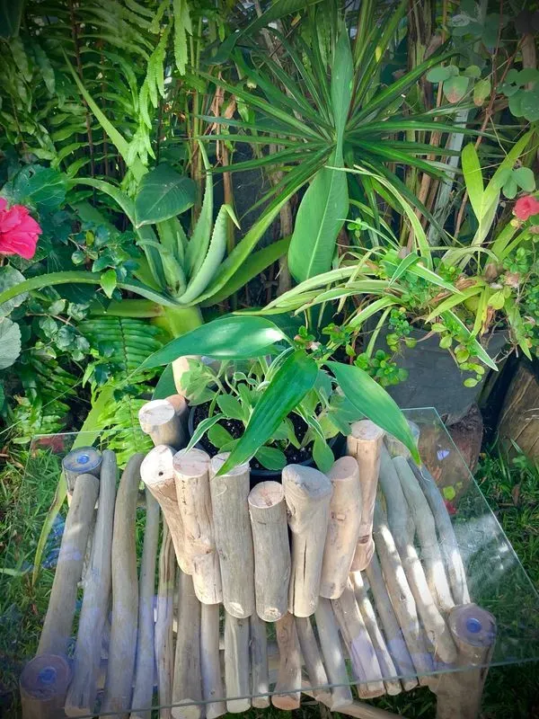 cache pot  en bois flotté  — visuel 5