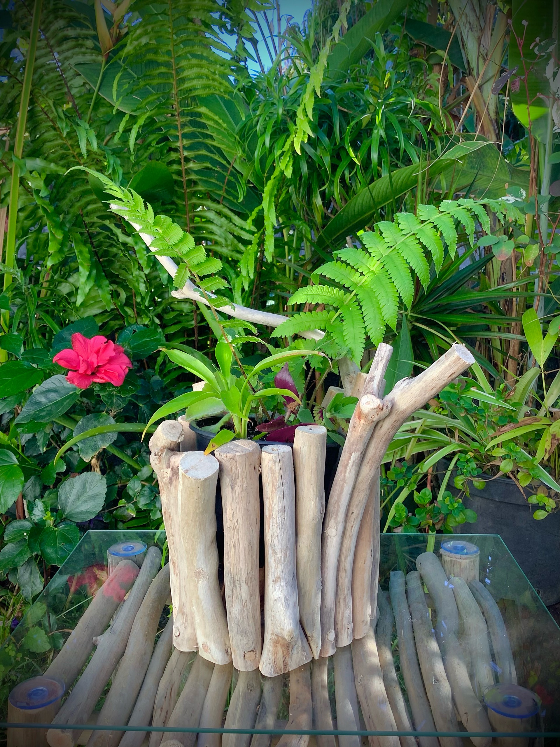 cache pot en bois flotté — visuel 9