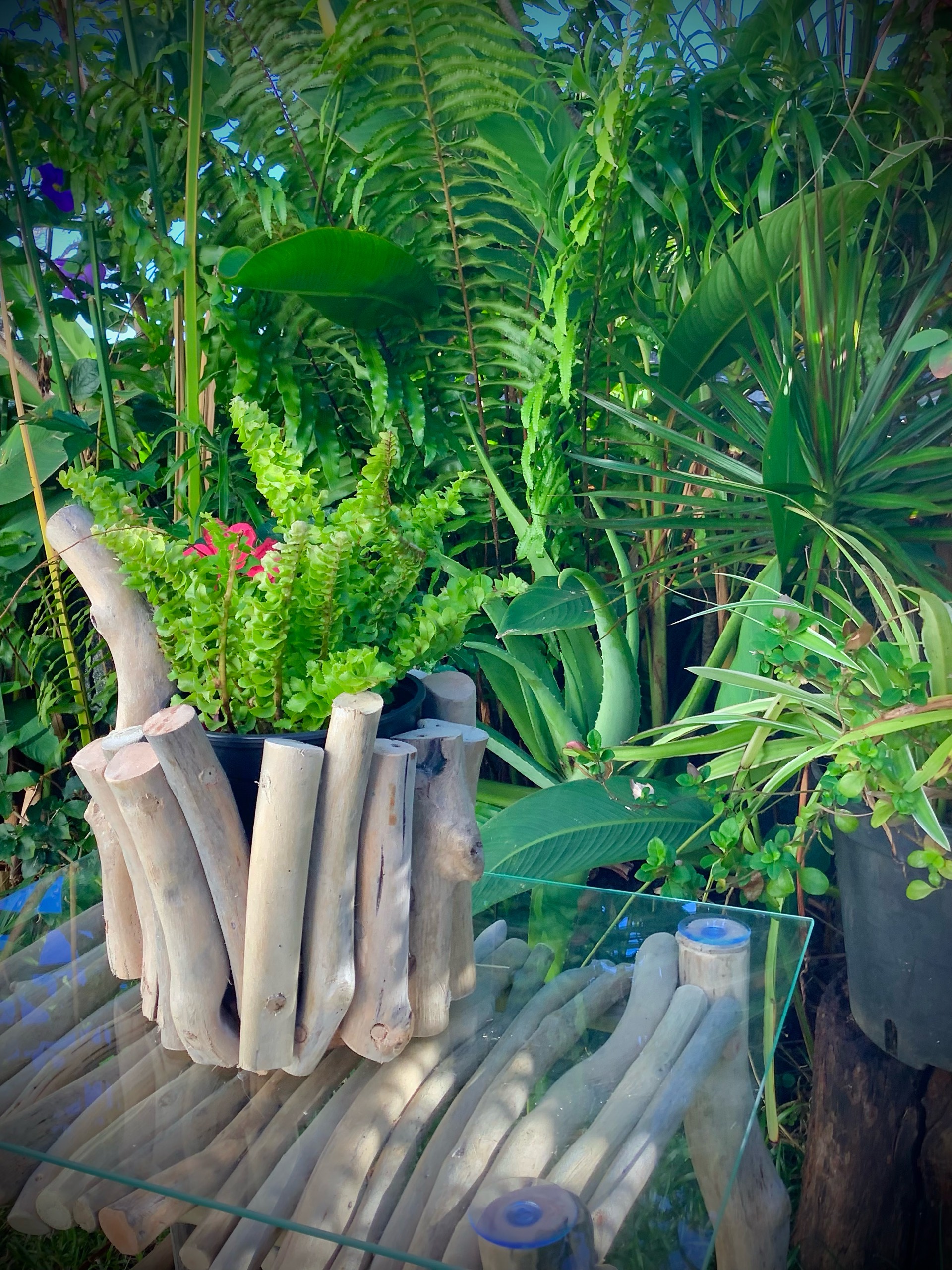 cache pot en bois flotté — visuel 6