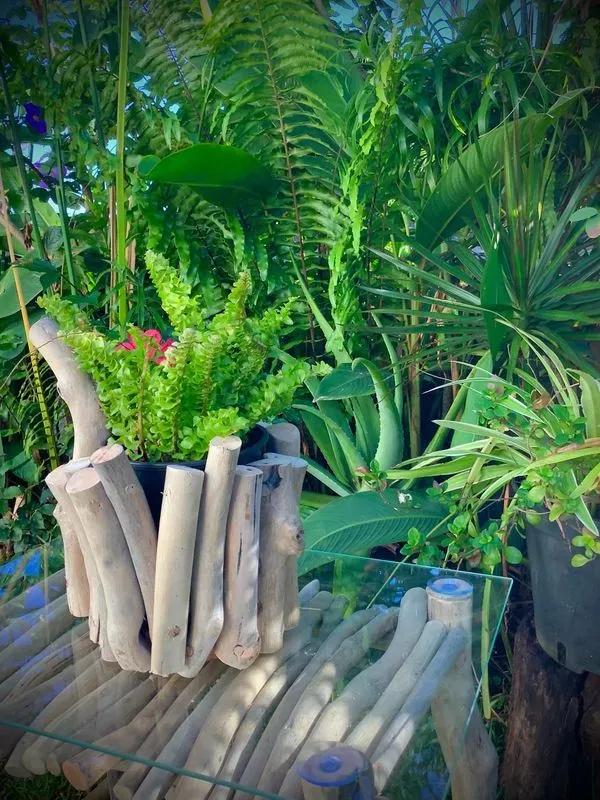 cache pot  en bois flotté  — visuel 6