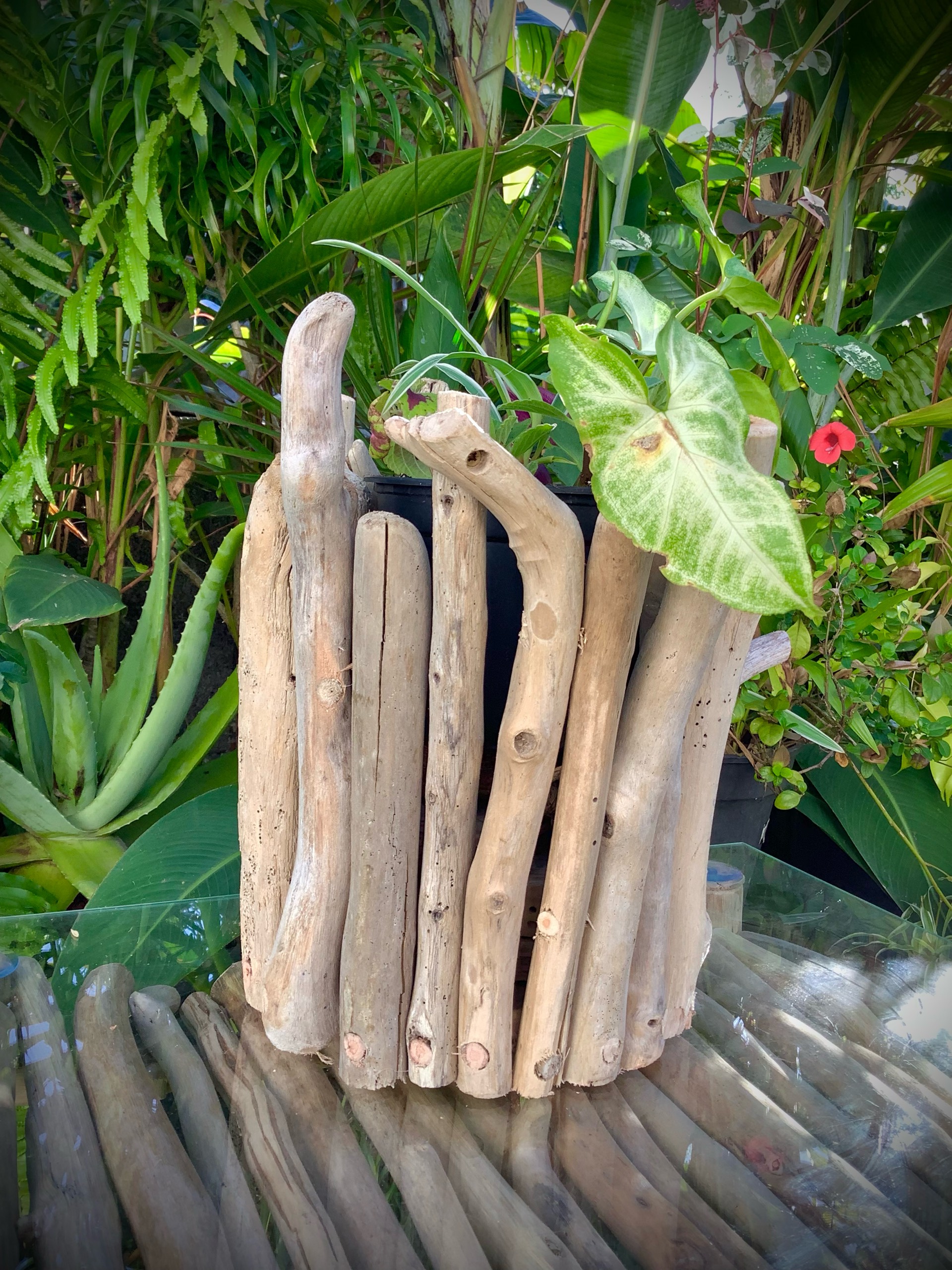 cache pot en bois flotté — visuel 4
