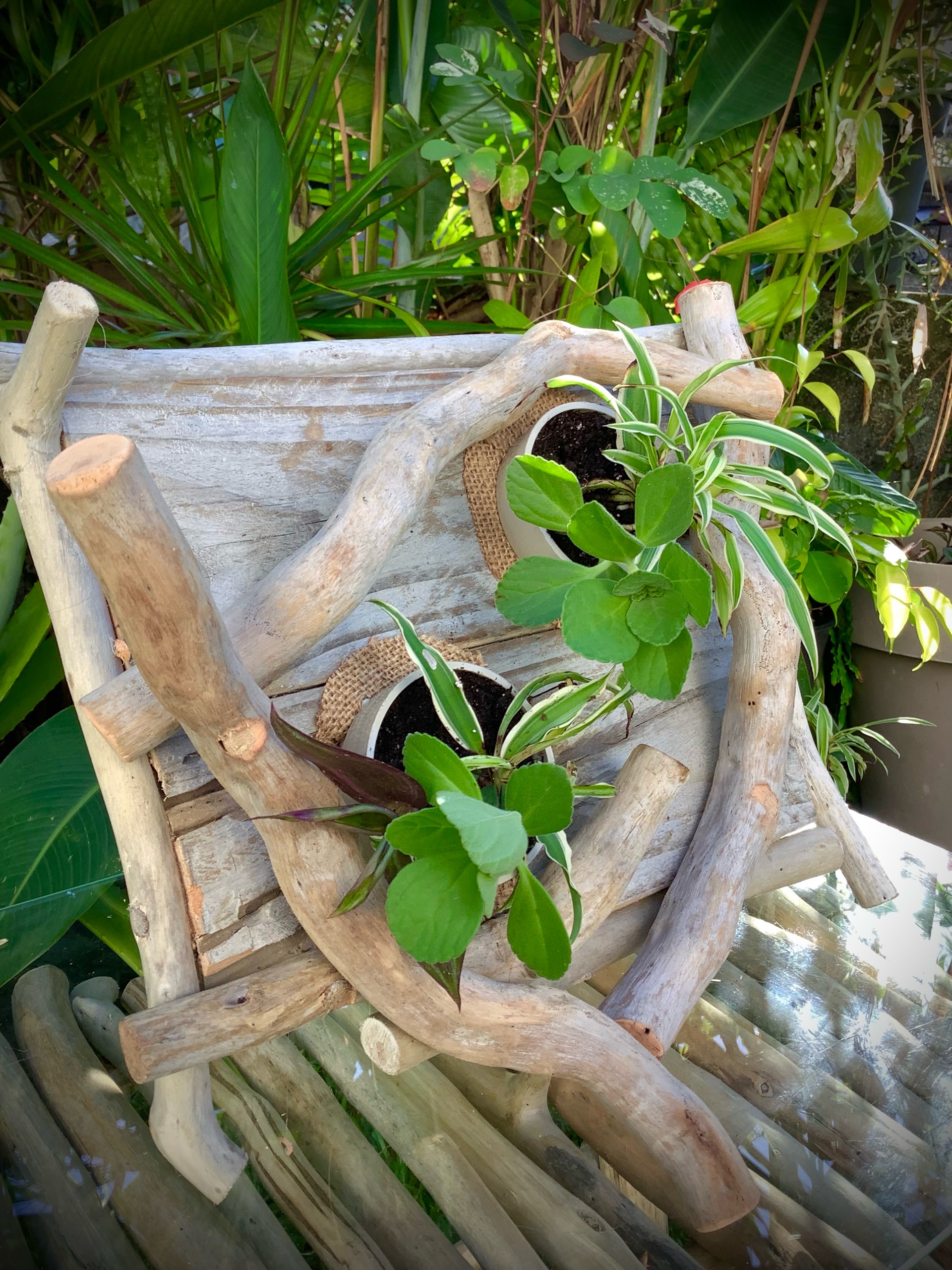 tableaux florales en bois flotté / 2 pots  — visuel 9