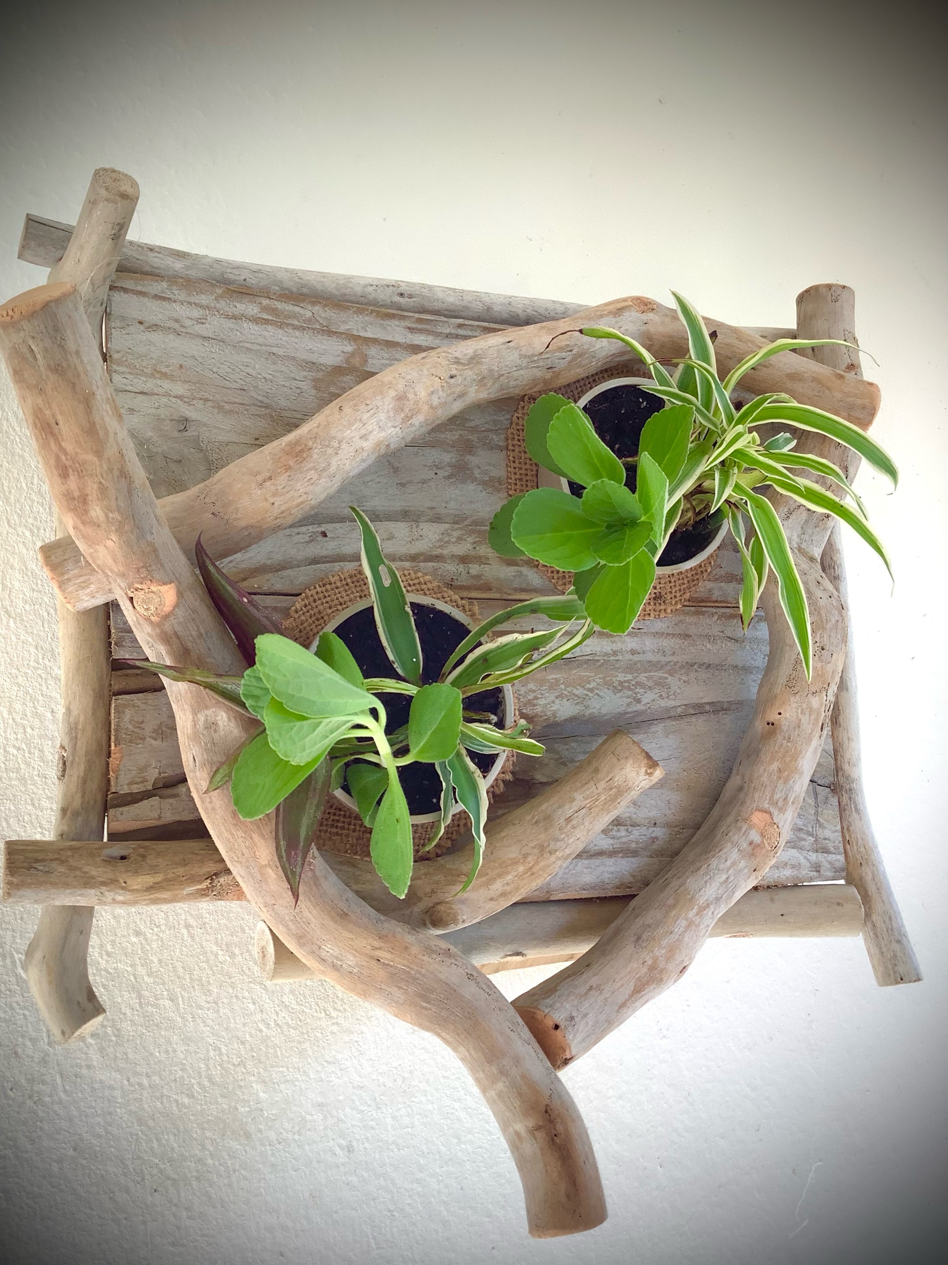 tableaux florales en bois flotté / 2 pots  — visuel 4