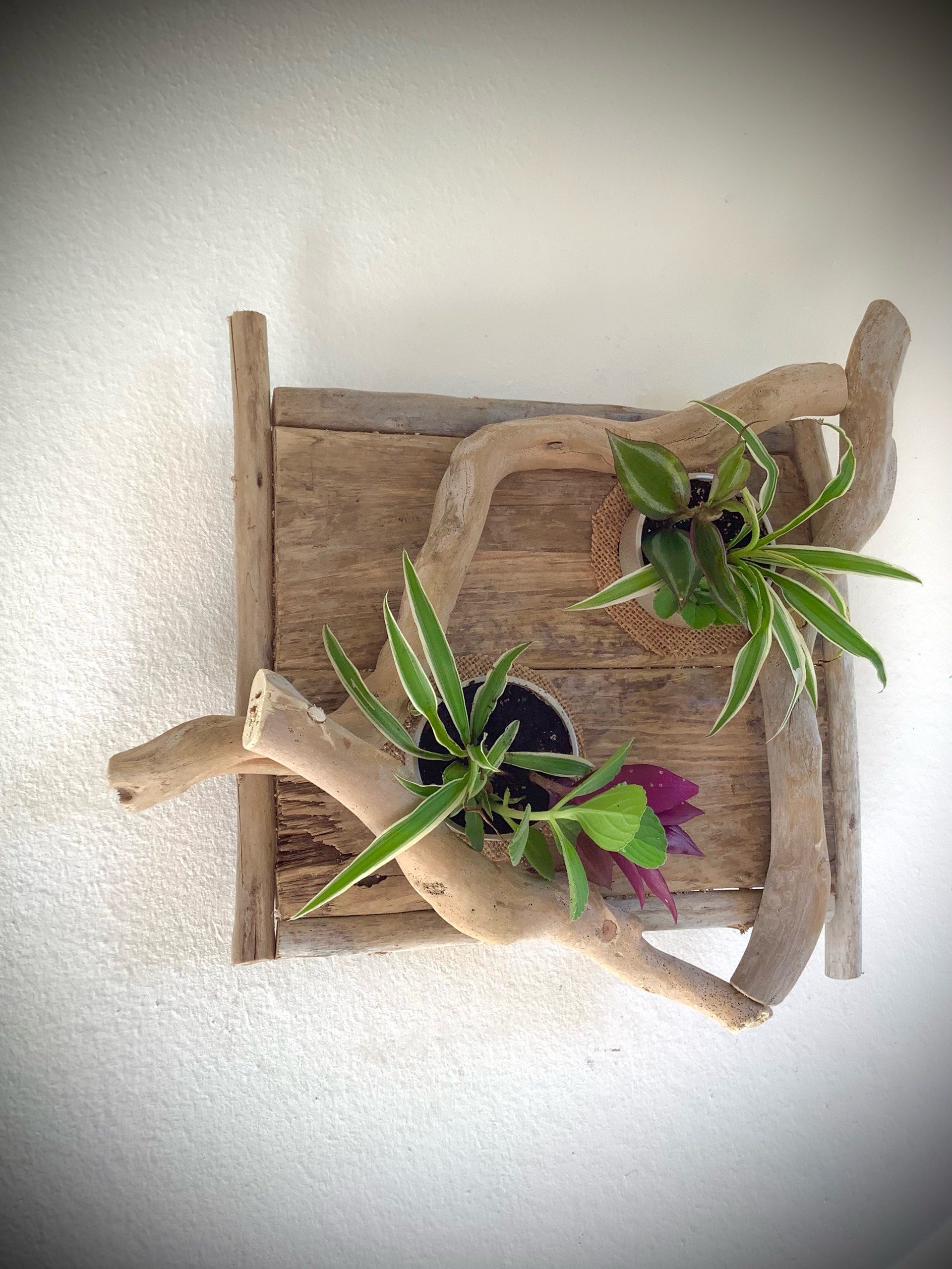 tableaux florales en bois flotté / 2 pots  — visuel 2