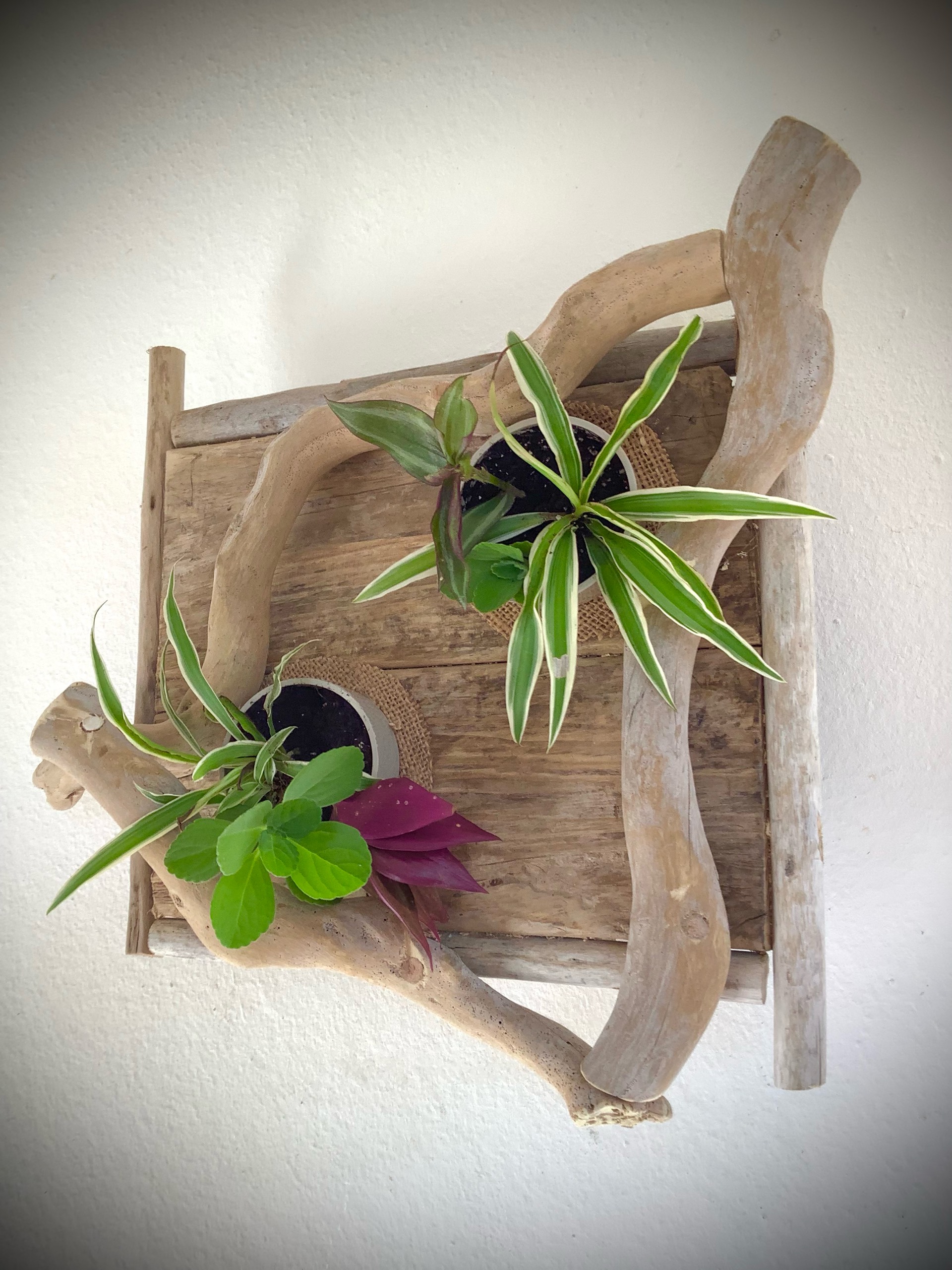 tableaux florales en bois flotté / 2 pots 