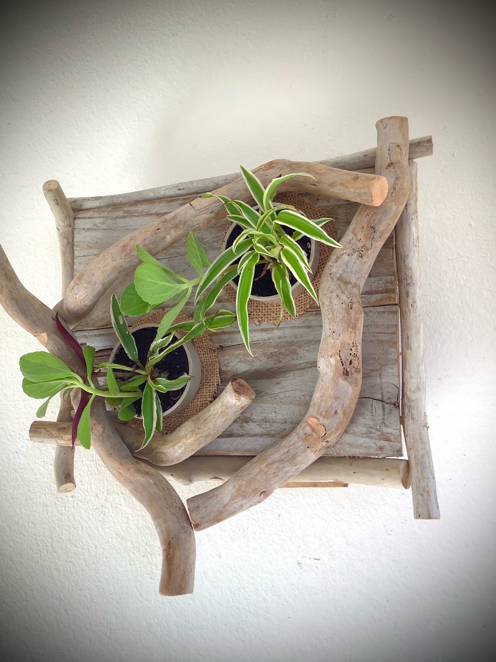 tableaux florales en bois flotté / 2 pots  — visuel 3