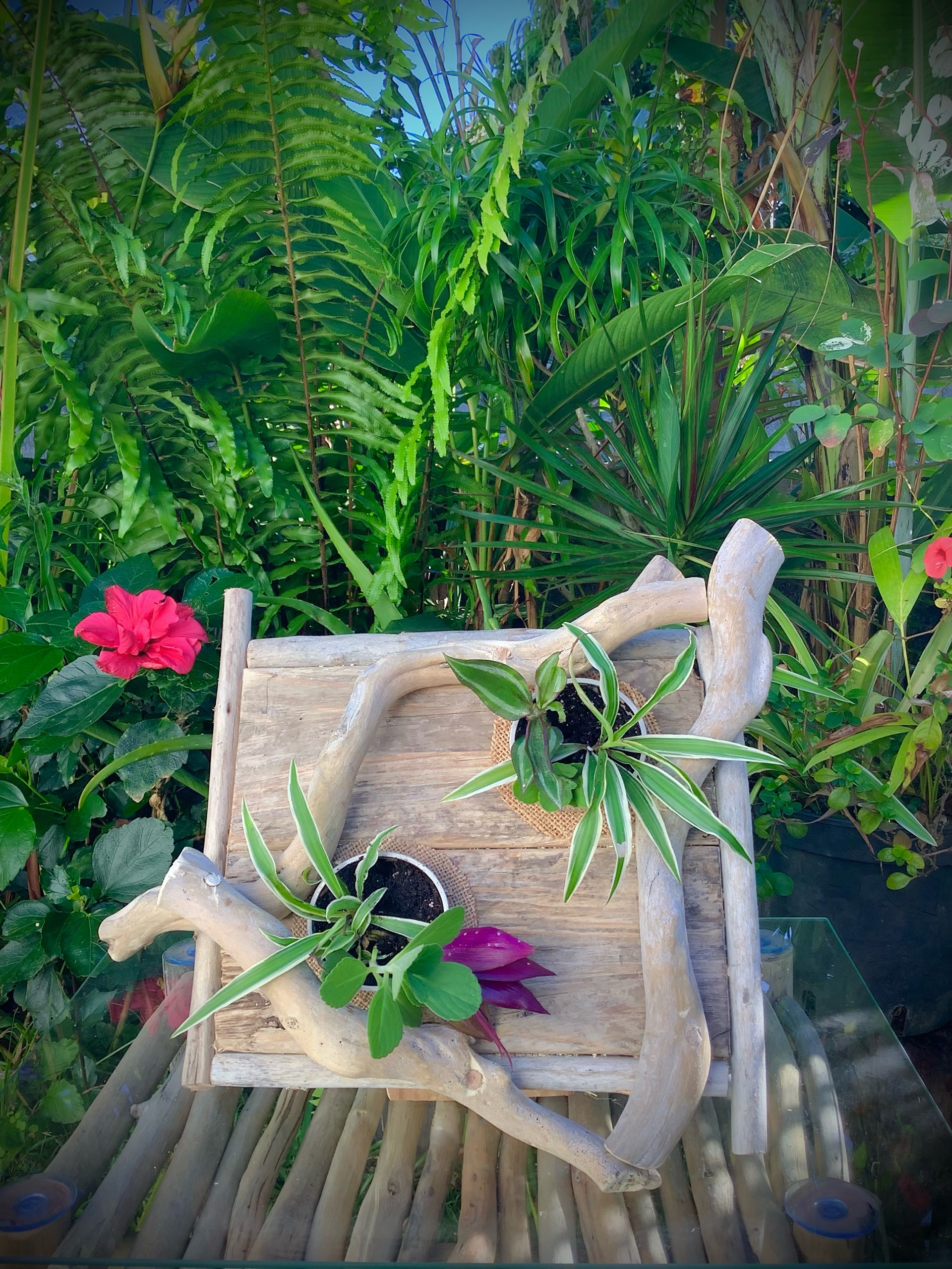 tableaux florales en bois flotté / 2 pots  — visuel 7