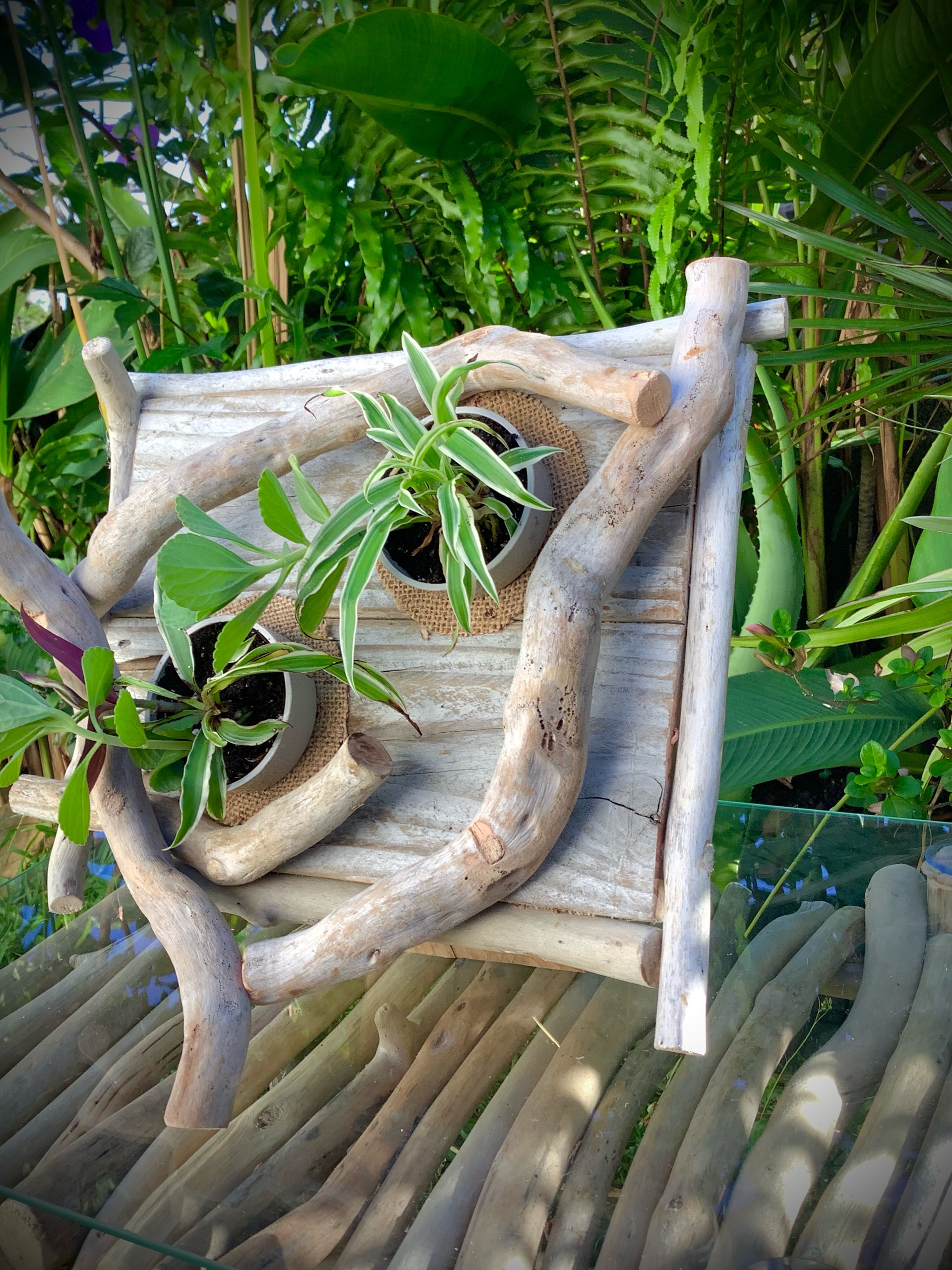 tableaux florales en bois flotté / 2 pots  — visuel 10