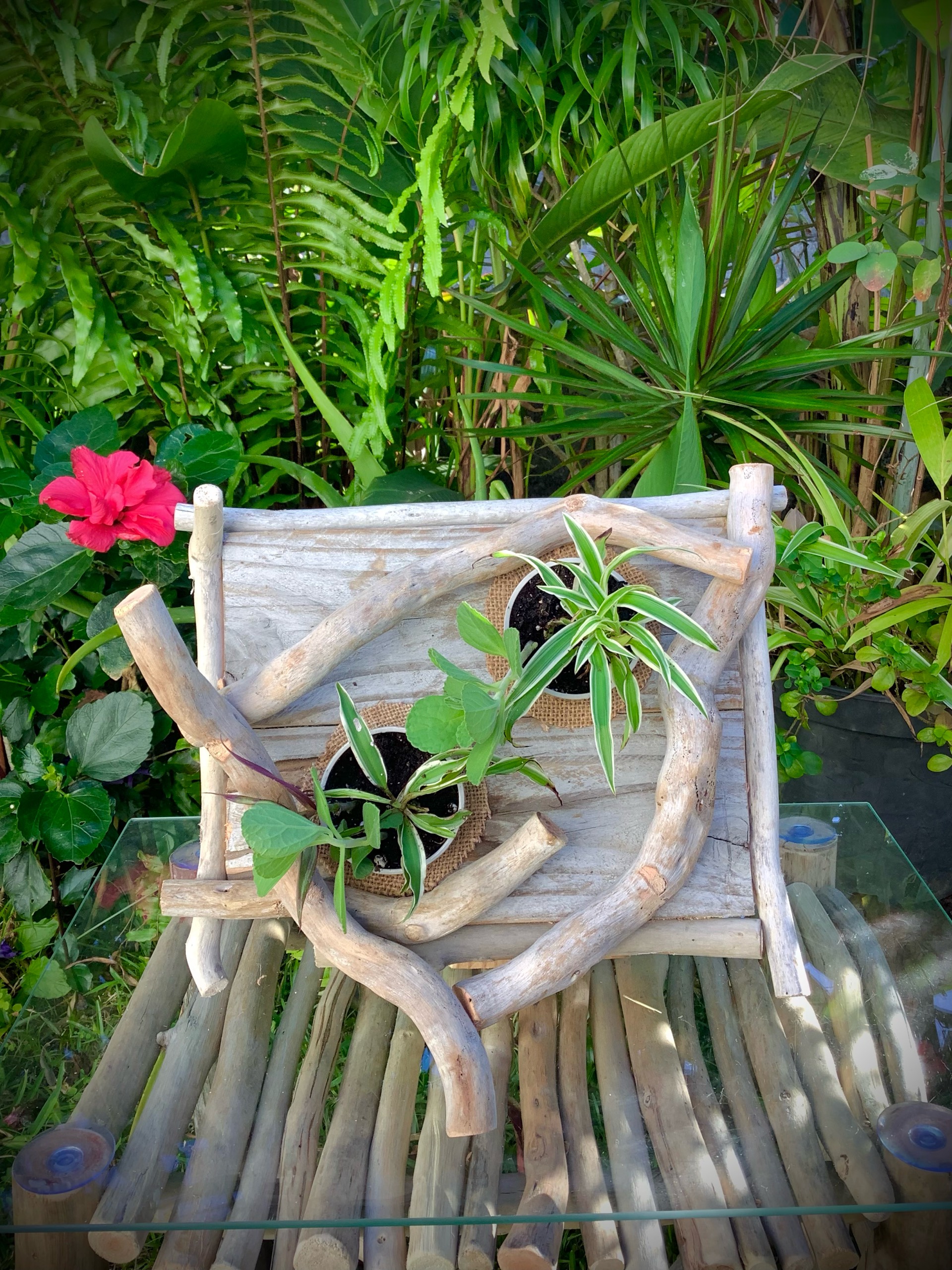 tableaux florales en bois flotté / 2 pots  — visuel 11