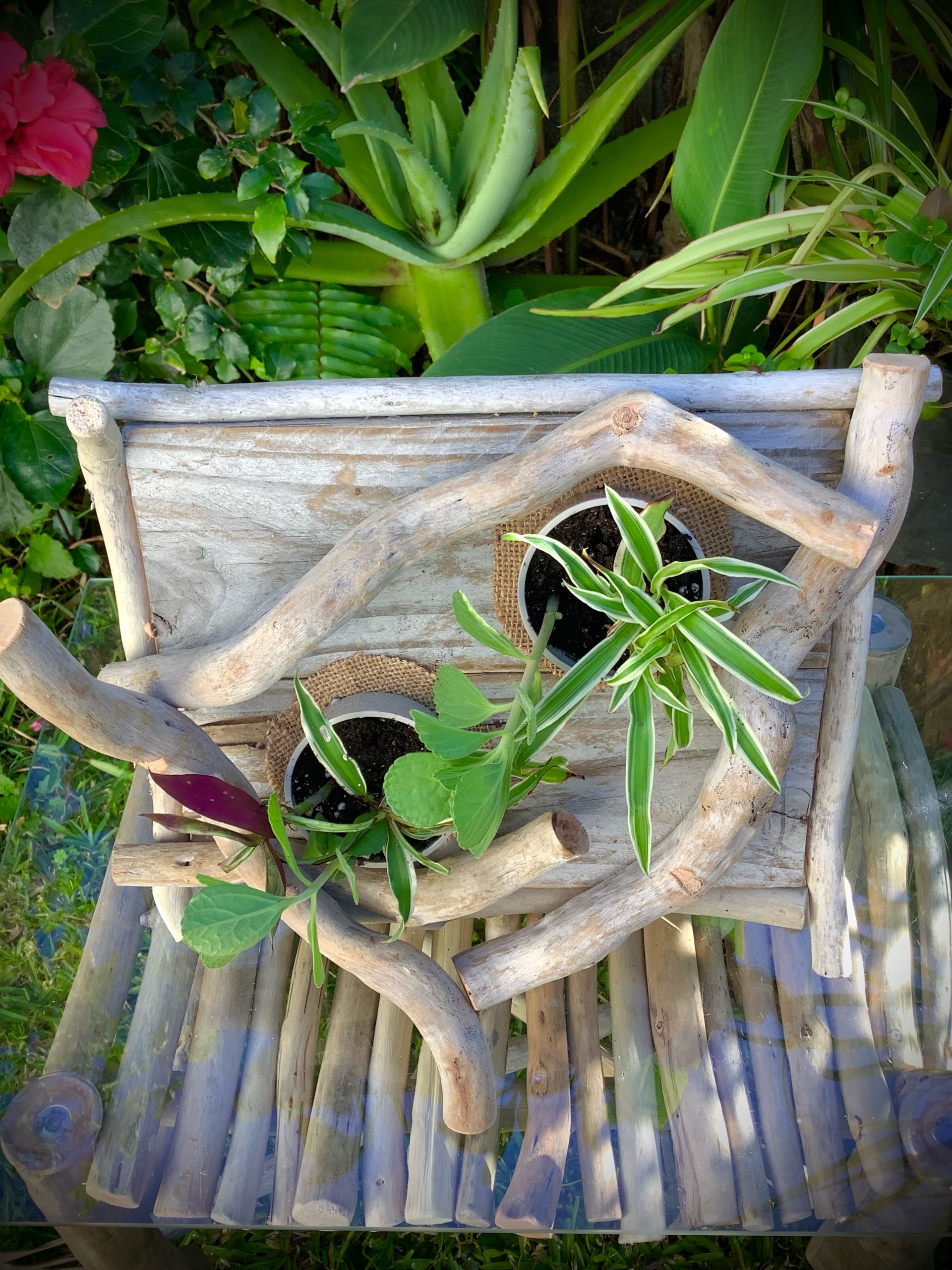 tableaux florales en bois flotté / 2 pots  — visuel 8