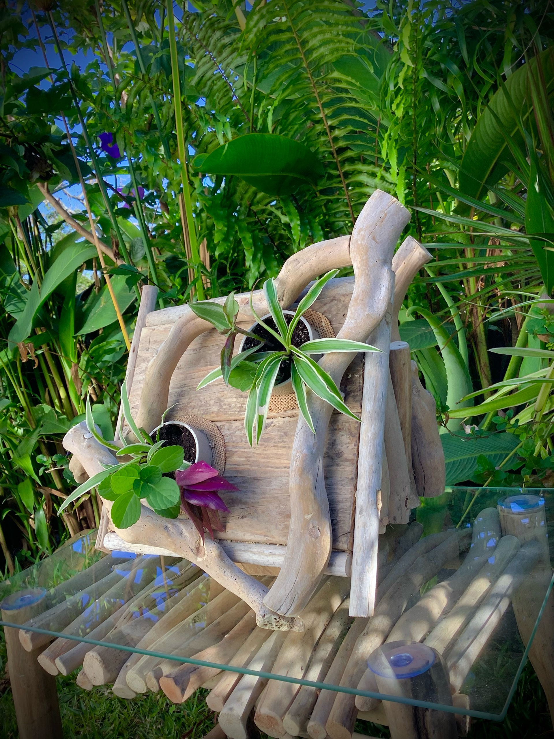 tableaux florales en bois flotté / 2 pots  — visuel 6
