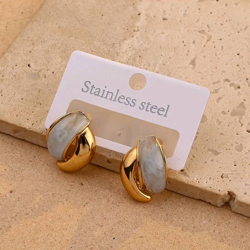 Boucles d'oreilles en acier inoxydable 