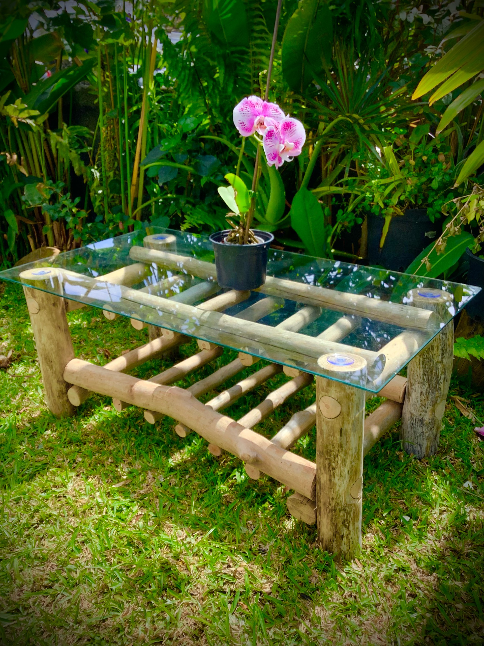 table basse bois flotté naturel — visuel 7
