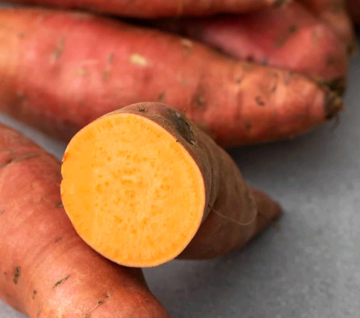 bucatini long patate douce  — visuel 3