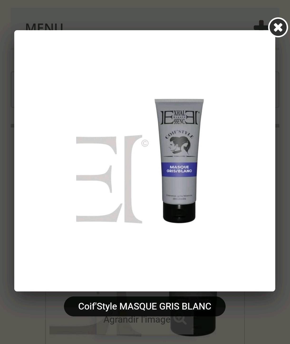 Coif'Style Masque tonifiant pour cheveux gris et blancs
