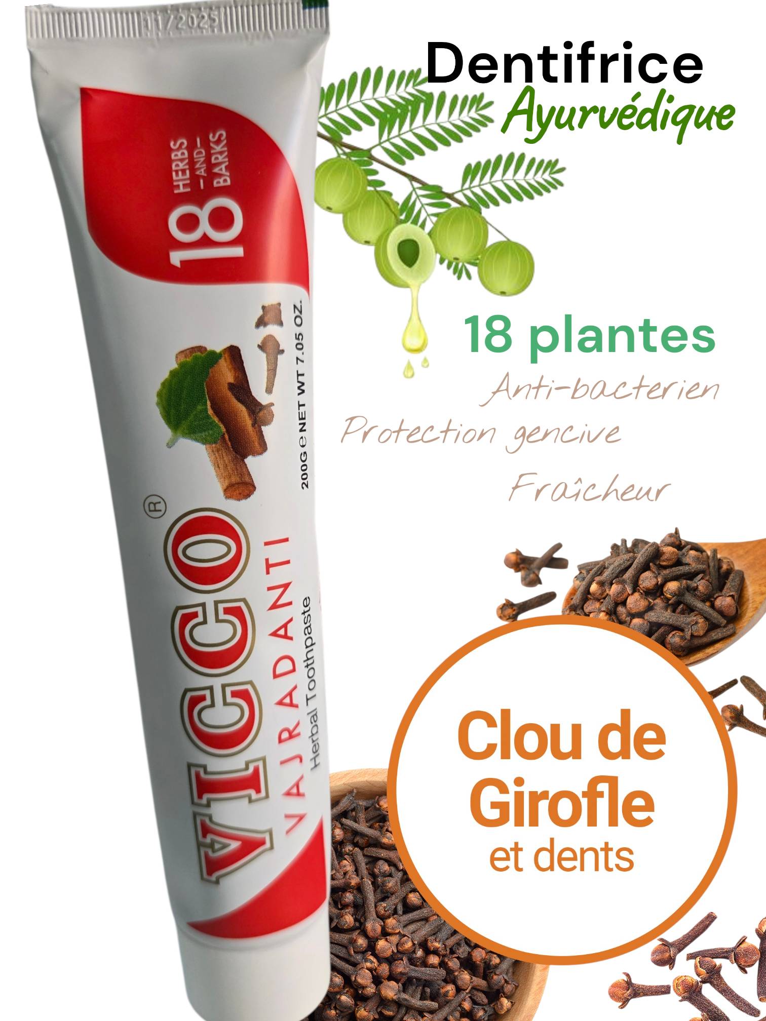 Dentifrice Ayurvédique Vicco Vajradanti 18 plantes 200 g
