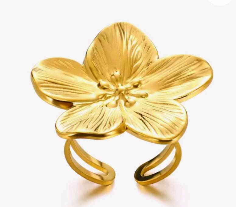 Bague Acier Inoxydable
