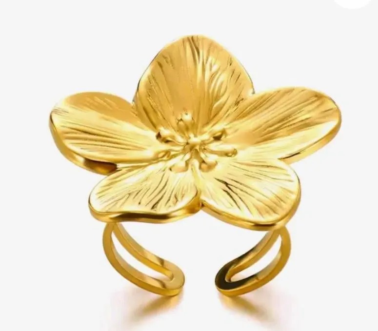 Bague Acier Inoxydable