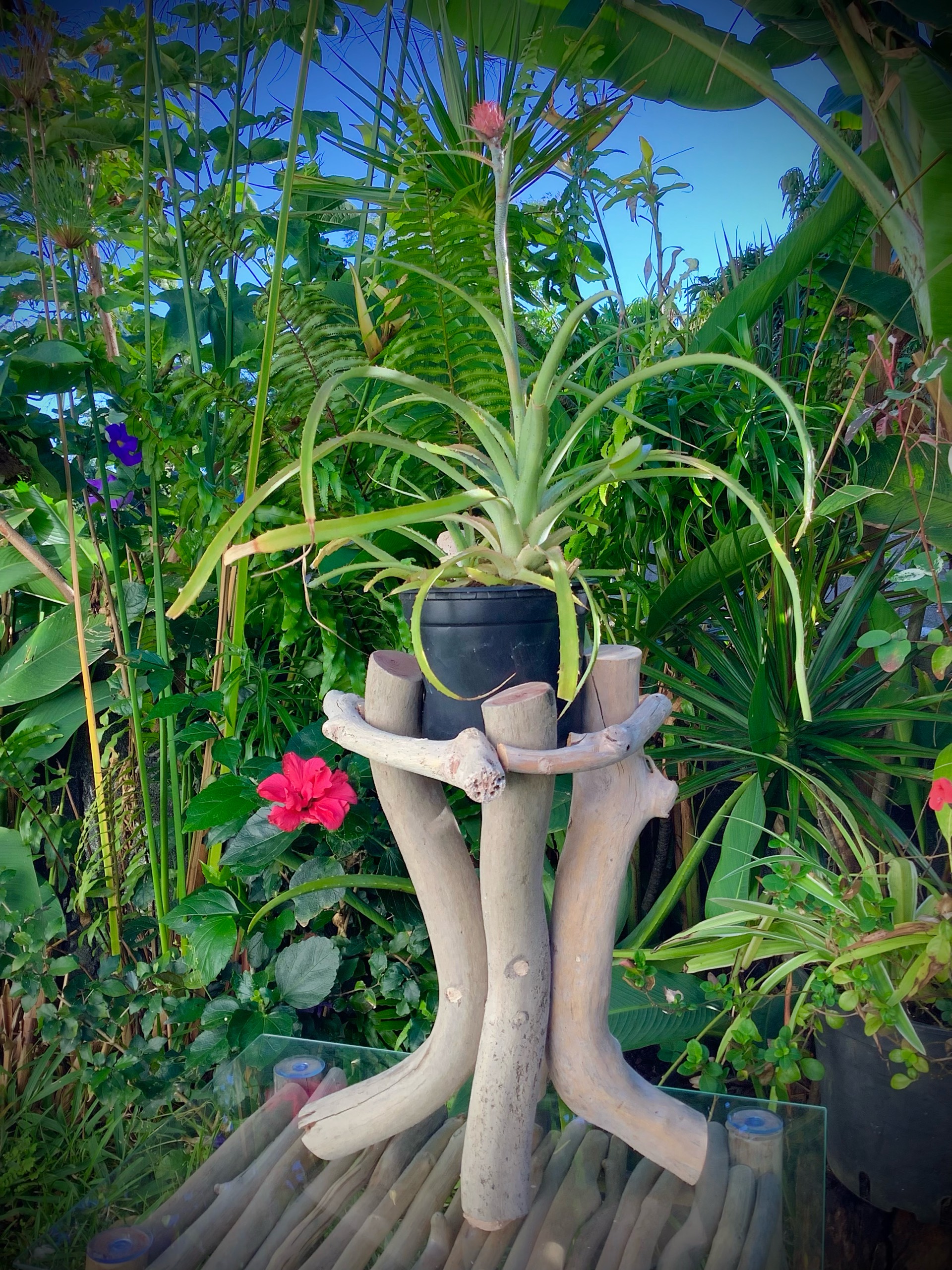 support florale trépied — visuel 3