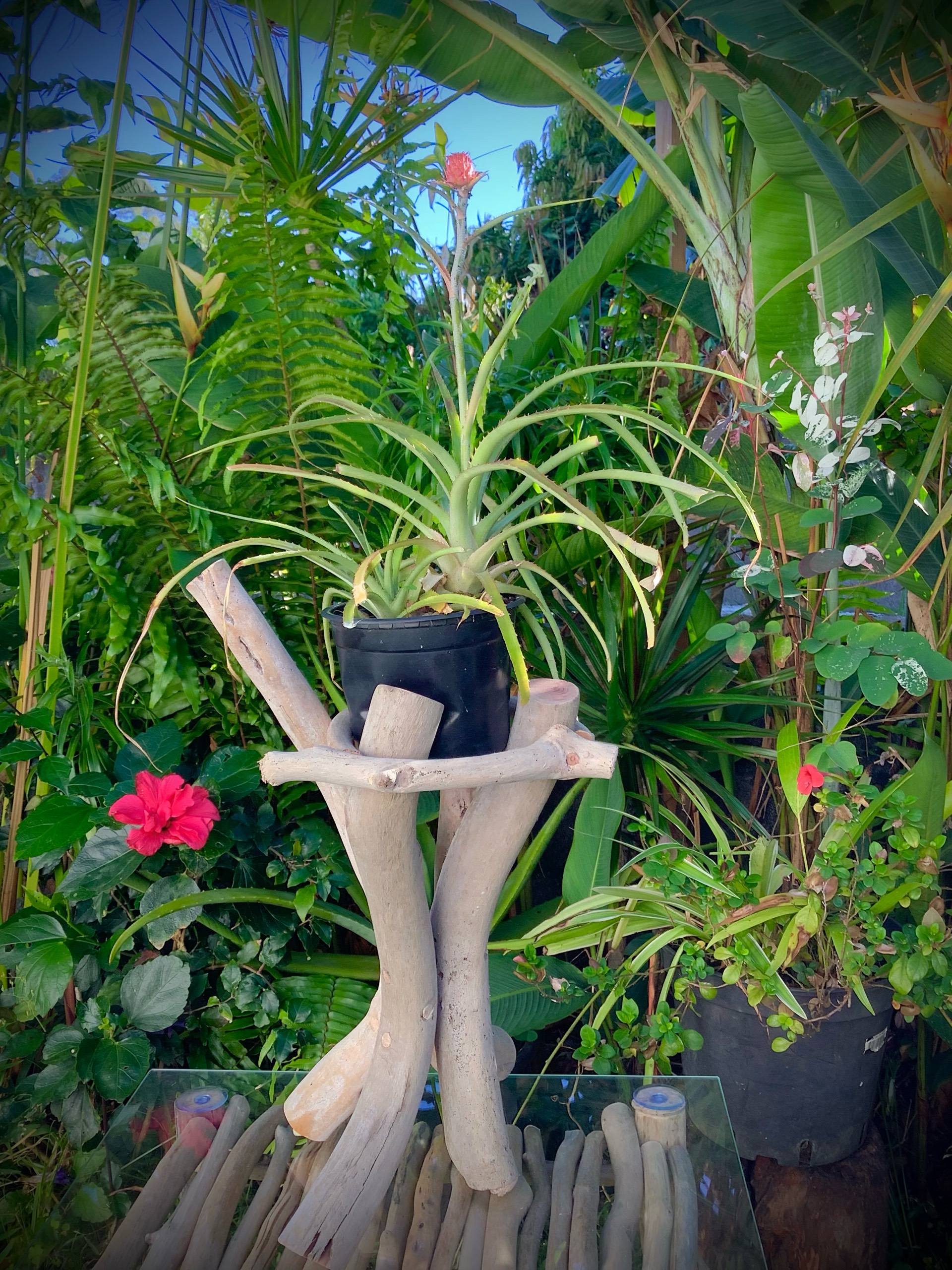 support florale trépied — visuel 5