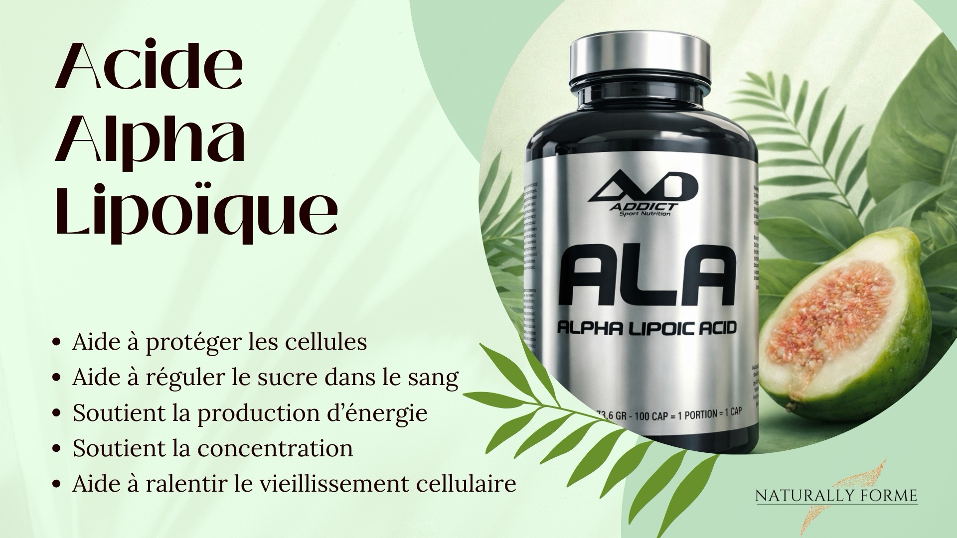 Acide Alpha Lipoïque — visuel 2