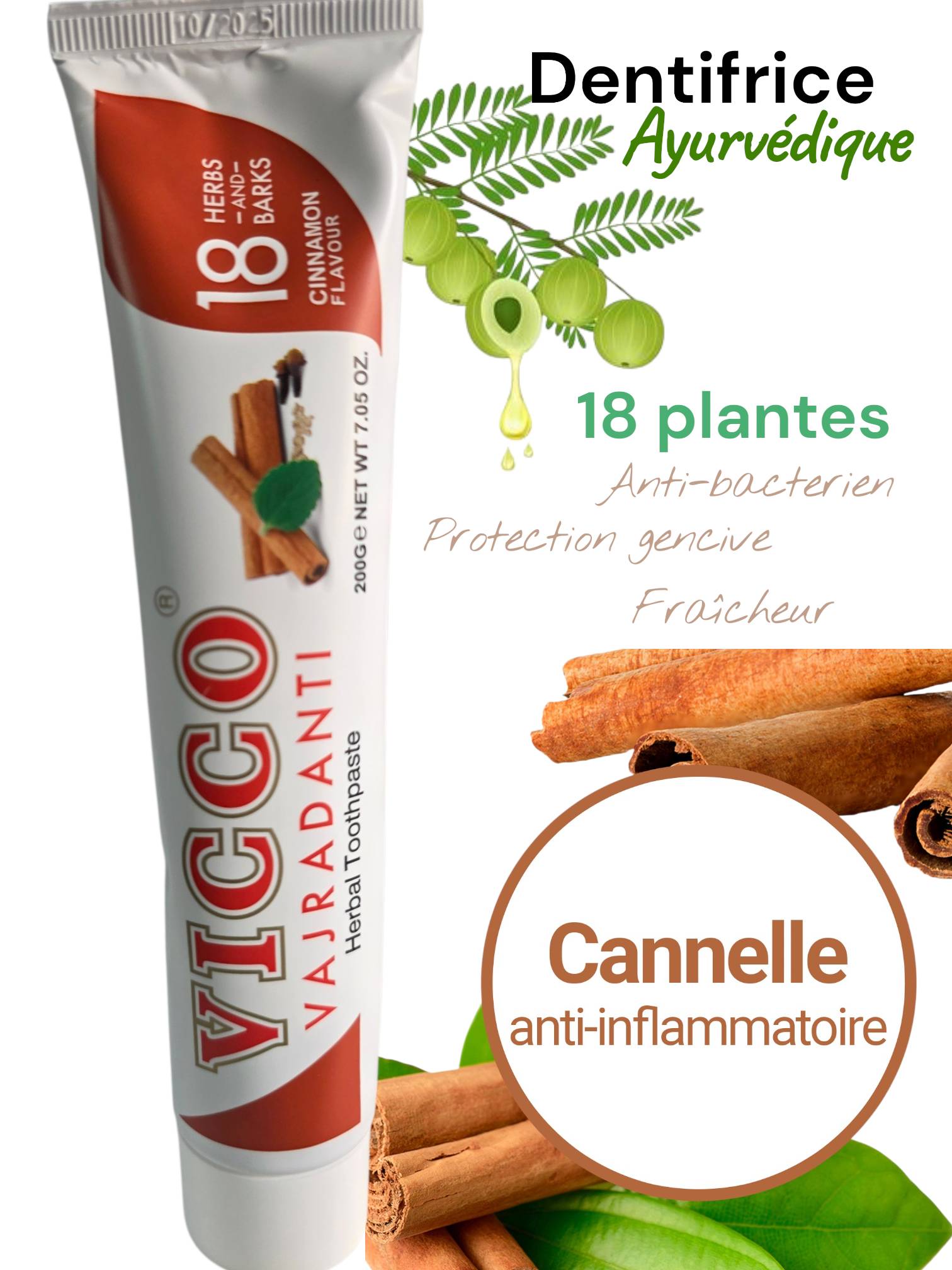 Dentifrice ayurvédique Vicco 18 plantes cannelle 200 g