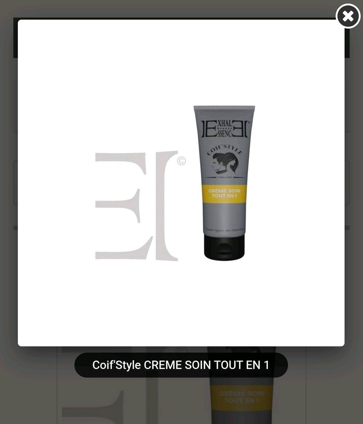 Crème Soin Tout-en-1 Coif'Style - Réparateur et Coiffant