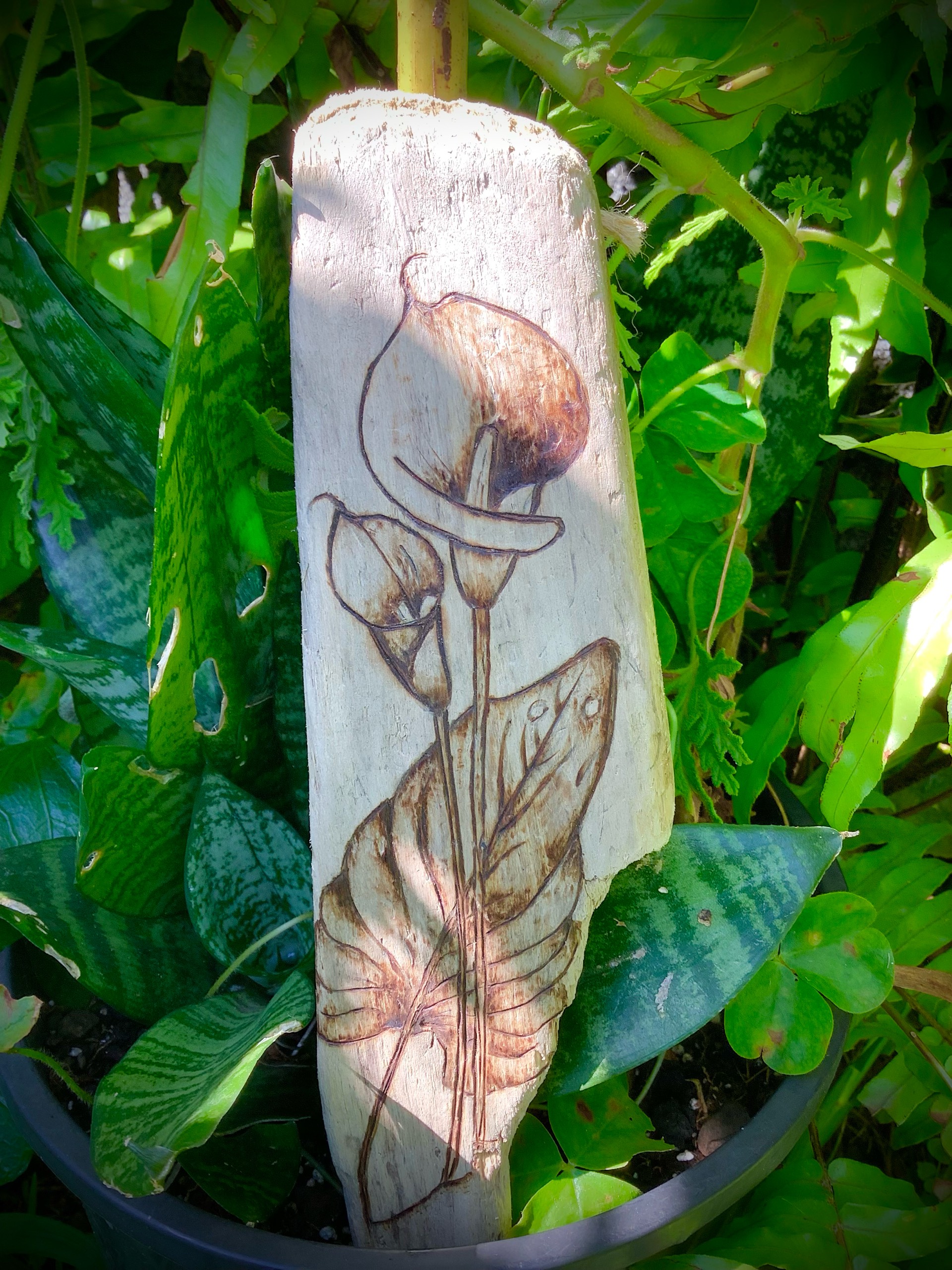 fleur tropicale gravé sur bois flotté brut 