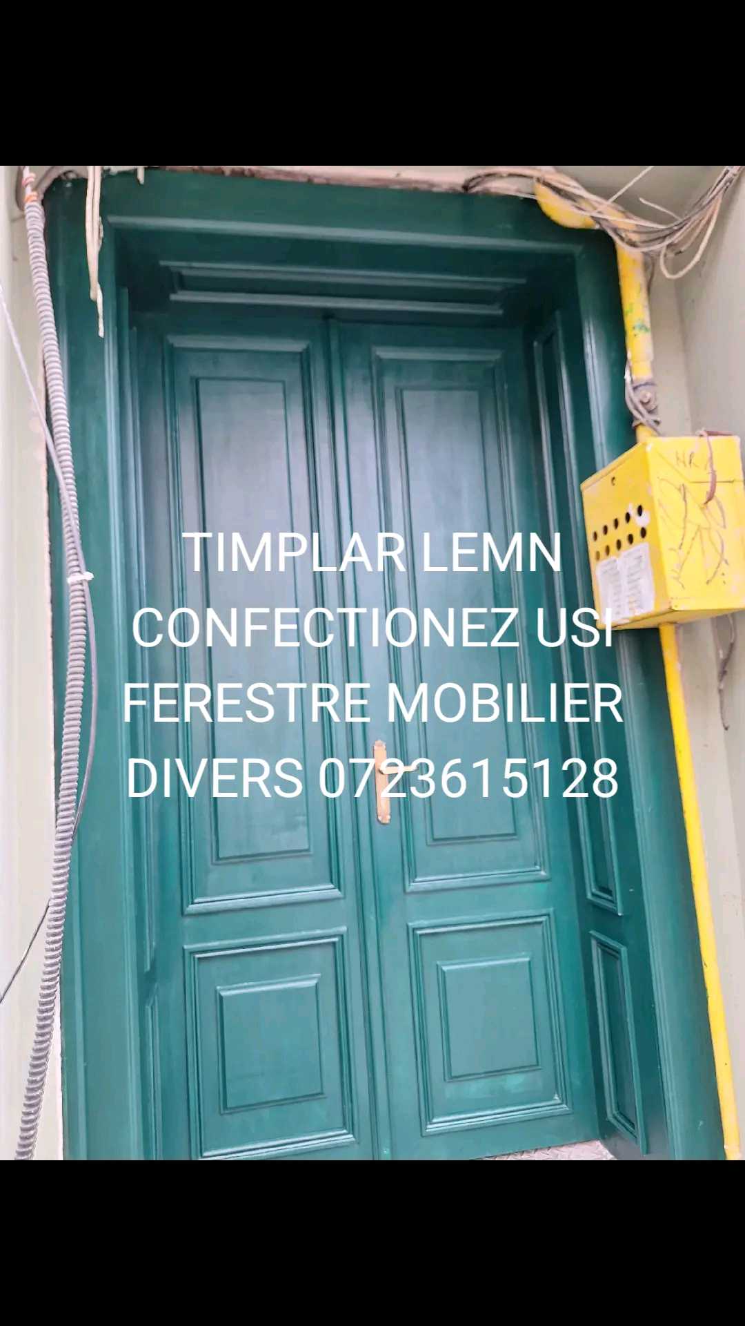 SERBAN NICOLAE TIMPLAR – lucrări 8