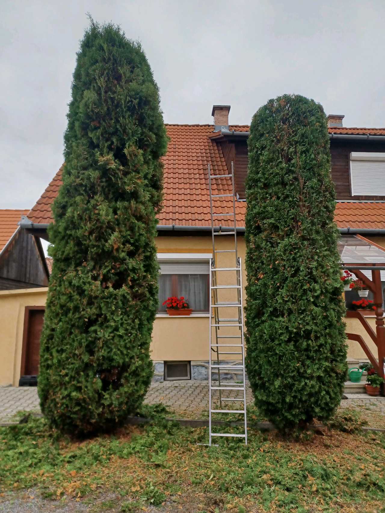 TumaGarden – lucrări 6