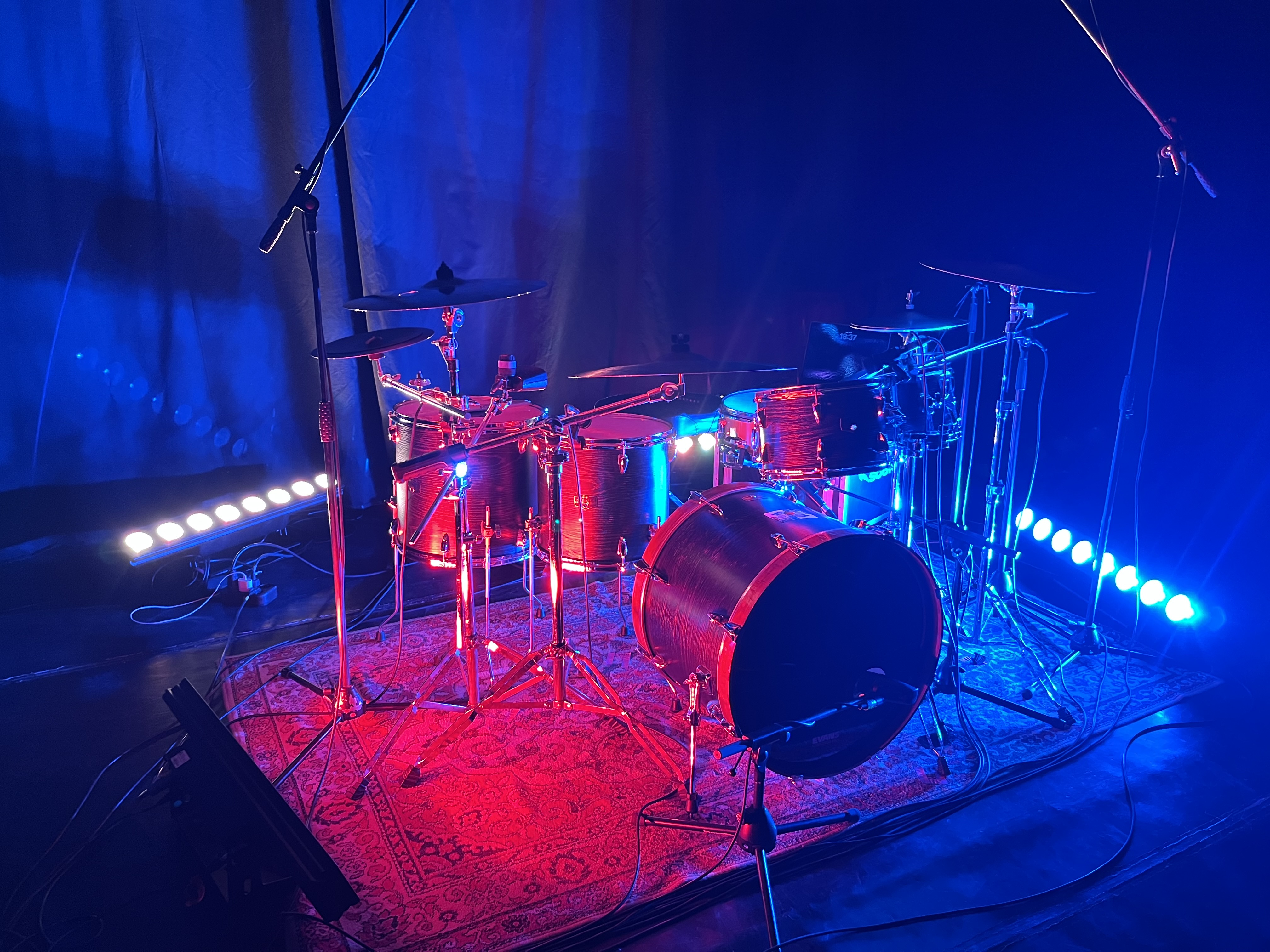 WolfSound – lucrări 8