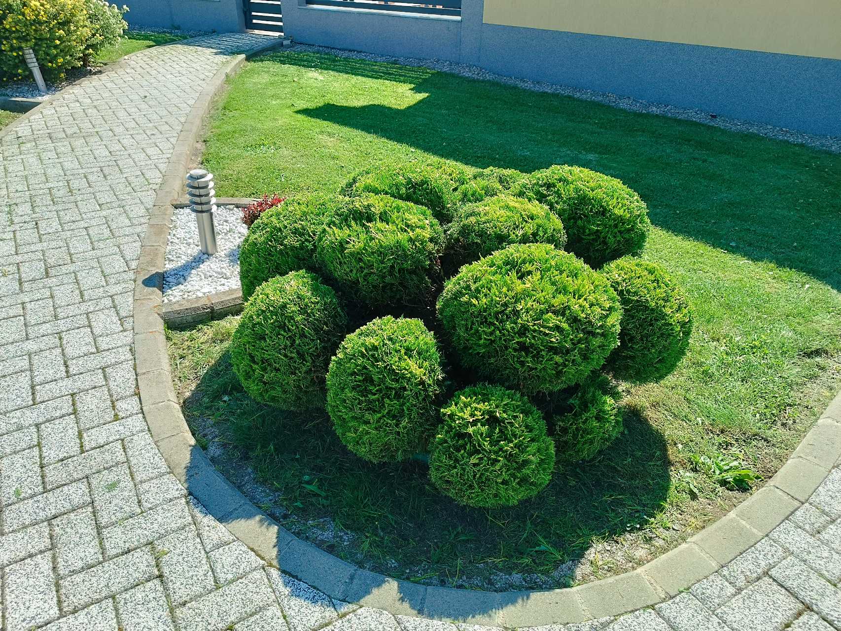 Garden Barber – lucrări 8