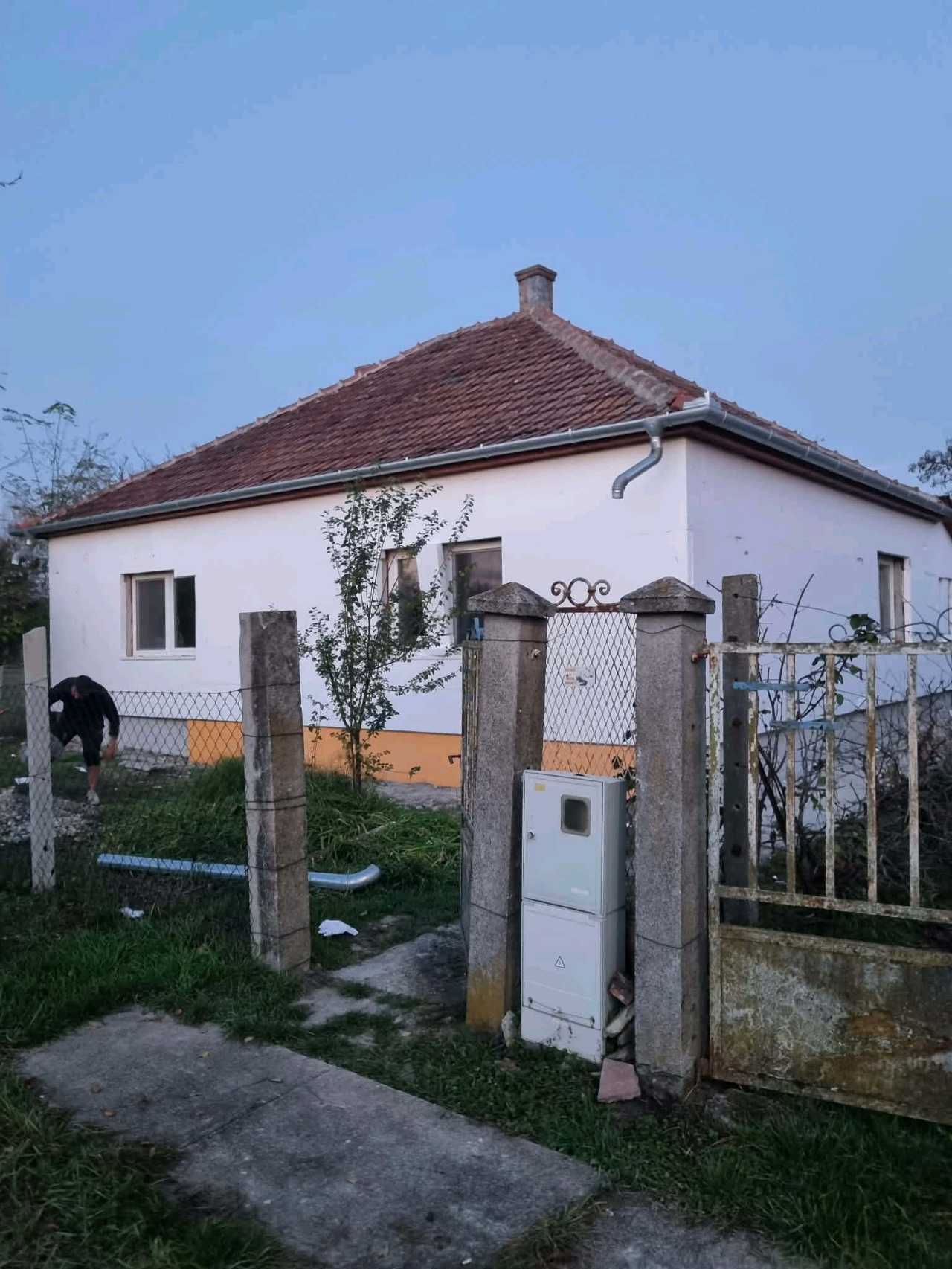 mezei kálmán