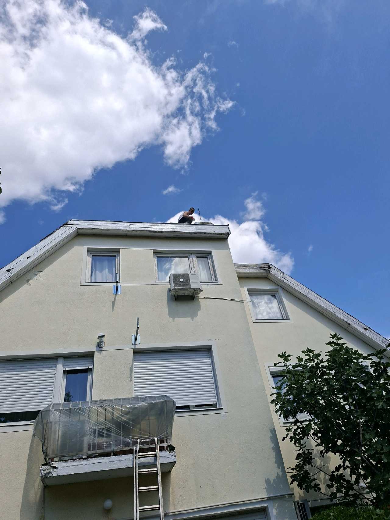 Professional